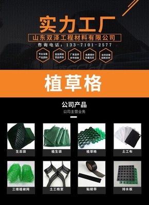 50厚抗壓植草格HDPE 承重能力強(qiáng)施工簡(jiǎn)單 消防車(chē)道停車(chē)場(chǎng)綠化用